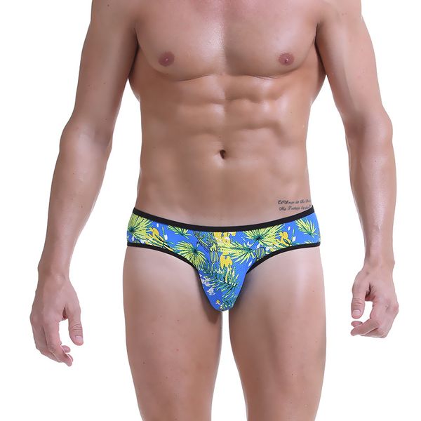 Printed 3pcs /Lot Fashion Printed Breathable Mesh Gay Men Underwear Erotic Sexy Nylon Panties Underpants Gays Pouch Sexy Brief
Printed 3pcs /Lot Fashion Printed Breathable Mesh Gay Men Underwear Erotic Sexy Nylon Panties Underpants Gays Pouch Sexy Brief