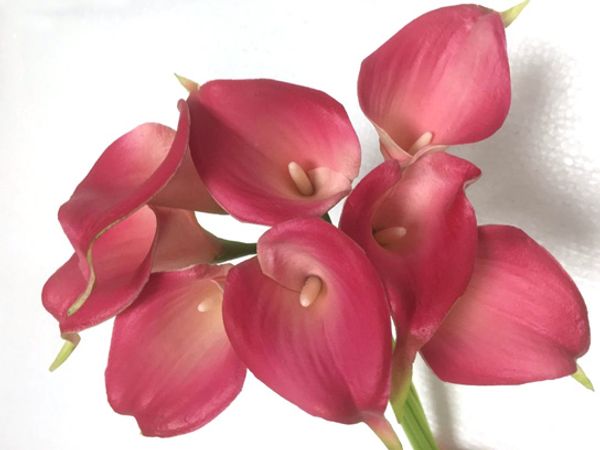 wedding plastic 30pcs/lot real touch pu calla lily decorative artificial flowers for wedding bouquet party home decoration 10 colors
wedding plastic 30pcs/lot real touch pu calla lily decorative artificial flowers for wedding bouquet party home decoration 10 colors