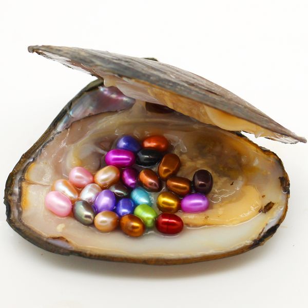 2018 new 25 mixed color elliptical pearl oyster 6-8mm freshwater natural cultured oyster pearl spot wholesale (
2018 new 25 mixed color elliptical pearl oyster 6-8mm freshwater natural cultured oyster pearl spot wholesale (