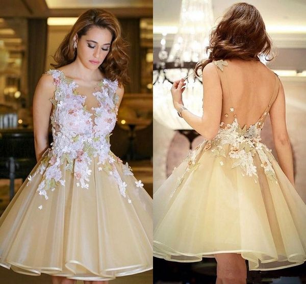little champagne organza knee length short cocktail dresses 2021 sheer neck backless colorful lace appliqued short prom formal party wear, Black
little champagne organza knee length short cocktail dresses 2021 sheer neck backless colorful lace appliqued short prom formal party wear, Black