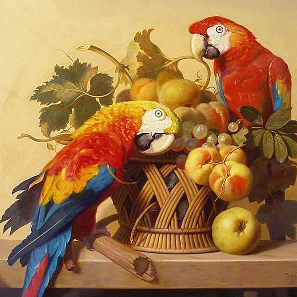 a2228 parrot 40*40 5d diy diamond embroidery painting home decor diamond crossing stitch 100% resin tool dril painting mosaic needlework
a2228 parrot 40*40 5d diy diamond embroidery painting home decor diamond crossing stitch 100% resin tool dril painting mosaic needlework
