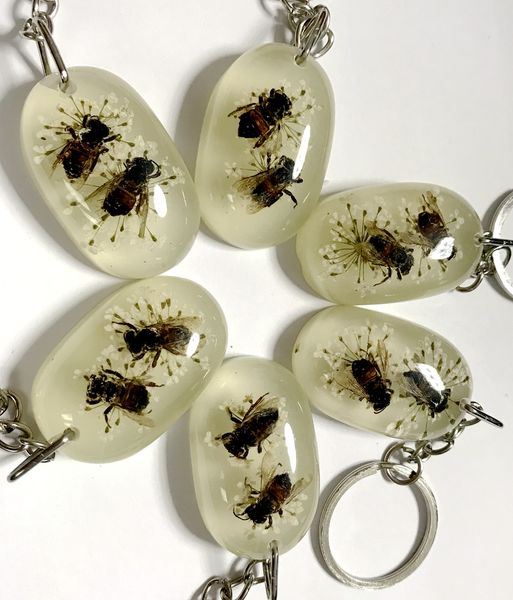 12 pcs yqtdmy specimens acrylic resin embedded bee keychain new fashion crafts, Slivery;golden
12 pcs yqtdmy specimens acrylic resin embedded bee keychain new fashion crafts, Slivery;golden