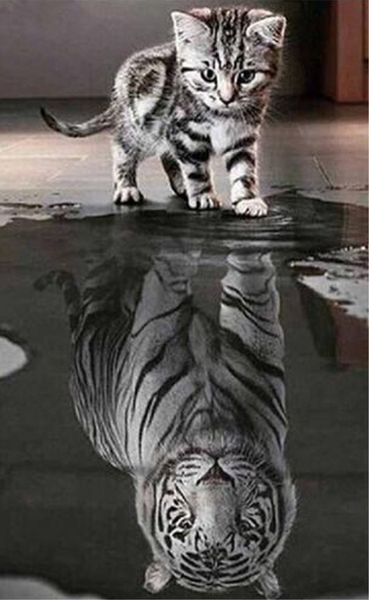 5D DIY Diamond Painting Kit Magic Square Drill Cat Reflection Tiger 2.8 Spire Complete Diamond Embroidery Decoration Painting
5D DIY Diamond Painting Kit Magic Square Drill Cat Reflection Tiger 2.8 Spire Complete Diamond Embroidery Decoration Painting
