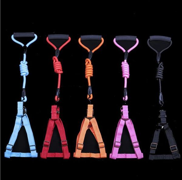 soft adjustable dog harness vest collar big dog rope collar hand strap pet traction rope for small medium large dogs
soft adjustable dog harness vest collar big dog rope collar hand strap pet traction rope for small medium large dogs