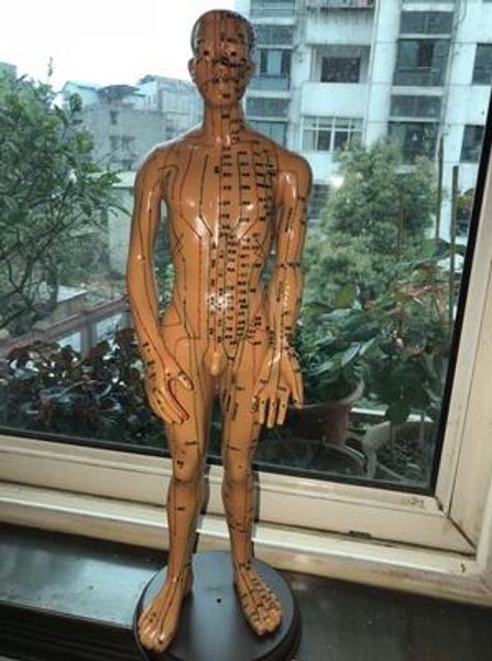wholesale 50cm male lettering acupuncture point body mannequin of acupuncture, medical research massage reflex zone teaching model c518, Black
wholesale 50cm male lettering acupuncture point body mannequin of acupuncture, medical research massage reflex zone teaching model c518, Black