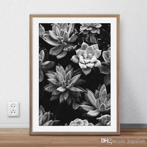 plants succulent black white wall decor pictures art poster prints home decor poster canvas unframe 16 24 36 47 inches
plants succulent black white wall decor pictures art poster prints home decor poster canvas unframe 16 24 36 47 inches