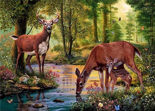 diy diamond painting cross stitch kit rhinestone full round diamond embroidery animal sika deer forest lake home mosaic decoration yx4042
diy diamond painting cross stitch kit rhinestone full round diamond embroidery animal sika deer forest lake home mosaic decoration yx4042