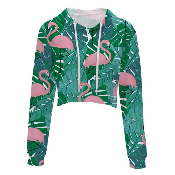 womens fashion casual loose punk flamingos hoodie long sleeve stylish crop spring autumn thin sweatshirt plus size, Black
womens fashion casual loose punk flamingos hoodie long sleeve stylish crop spring autumn thin sweatshirt plus size, Black