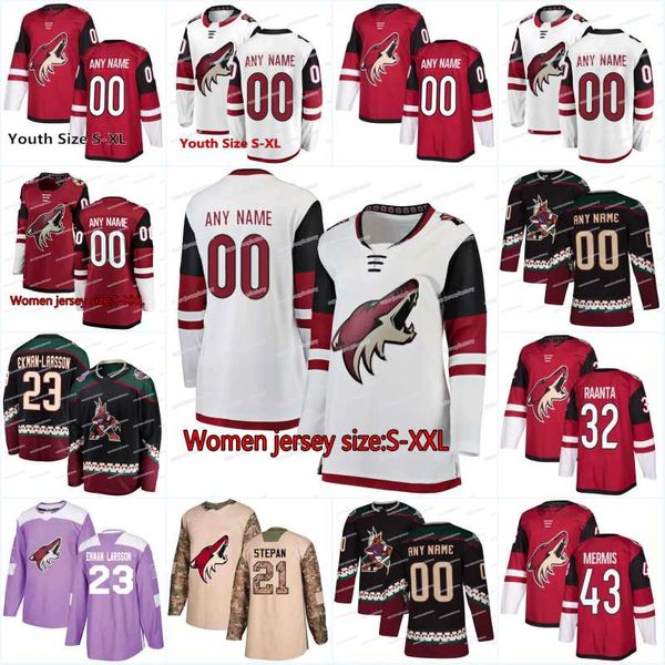 2018 New Season 11 Brendan Perlini 45 Josh Archibald Arizona Coyotes 36 Christian Fischer 40 Michael Grabner 29 Mario Kempe Hockey Jerseys
2018 New Season 11 Brendan Perlini 45 Josh Archibald Arizona Coyotes 36 Christian Fischer 40 Michael Grabner 29 Mario Kempe Hockey Jerseys