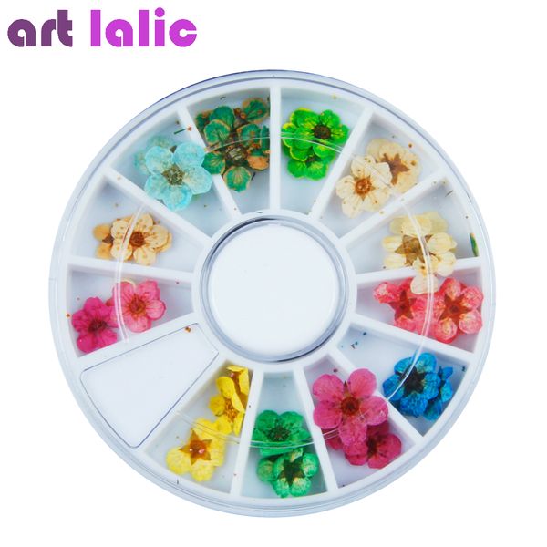 artlalic 36pcs 3d nail art sticker dried flower dry real flowers diy tips acrylic decoration wheel, Silver;gold
artlalic 36pcs 3d nail art sticker dried flower dry real flowers diy tips acrylic decoration wheel, Silver;gold