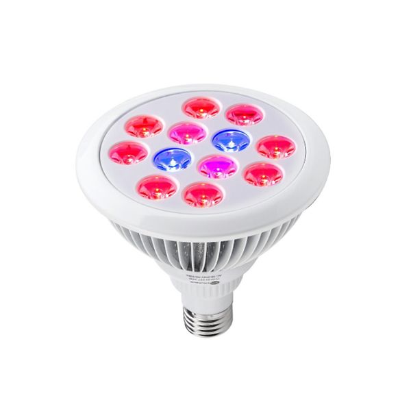 led growing lights e27 12w 24w led plant grow high power light bulb indoor plants growth grow lights downlight with ce rohs certified
led growing lights e27 12w 24w led plant grow high power light bulb indoor plants growth grow lights downlight with ce rohs certified