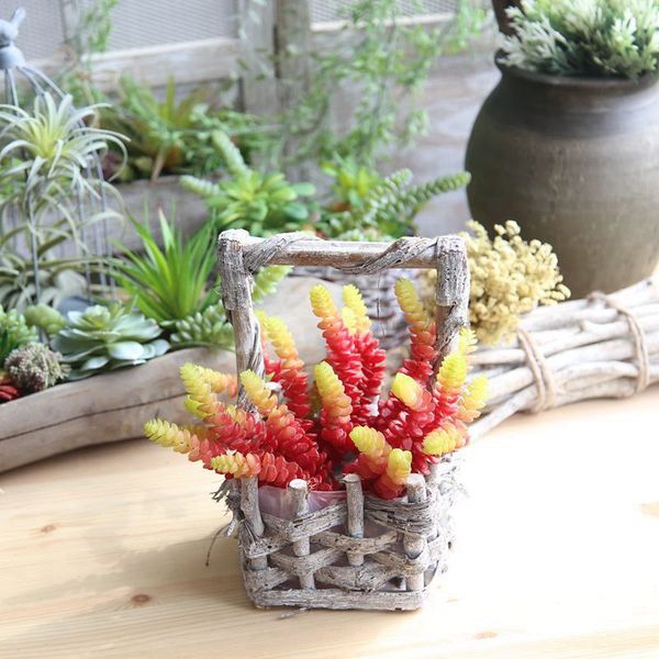 crassula 'jade necklace' artificial succulents diy decoration flower 25.5cm green fake succulent plant garden/home/wedding
crassula 'jade necklace' artificial succulents diy decoration flower 25.5cm green fake succulent plant garden/home/wedding