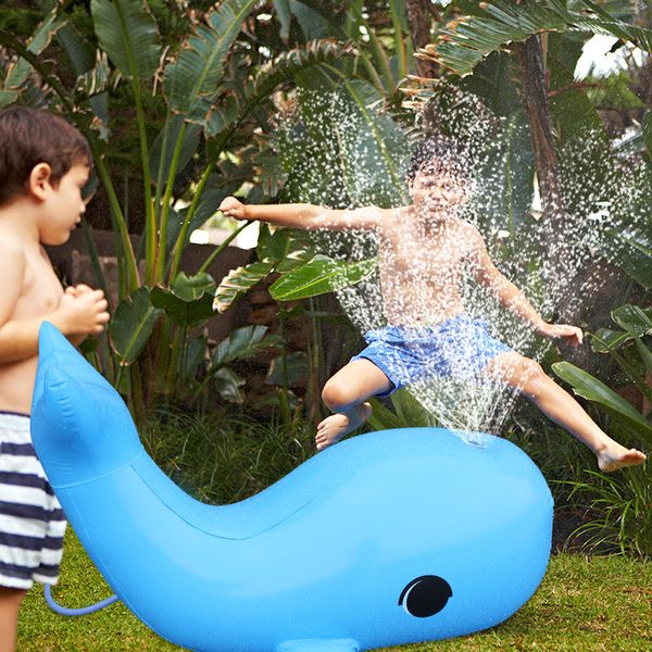 inflatable dolphin water sprayer sprinkler kids outdoor fun toy for summer swimming beach pool play sprinkler splash playing
inflatable dolphin water sprayer sprinkler kids outdoor fun toy for summer swimming beach pool play sprinkler splash playing