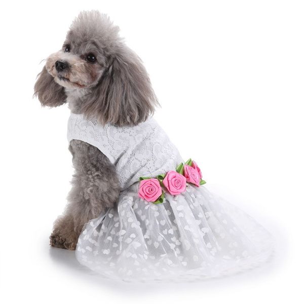 cute dog lady style fashion pets dresses with bowknot summer soft cotton printing bow pet puppy floral print clothes
cute dog lady style fashion pets dresses with bowknot summer soft cotton printing bow pet puppy floral print clothes