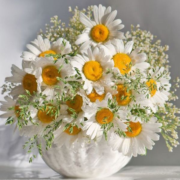 a1279 peonyvase 40*40 5d diy алмаз вышивка home decor алмаз вышивка крестом 100% смолы инструмент dril живопись вышивки крестом мозаика руко
a1279 peonyvase 40*40 5d diy алмаз вышивка home decor алмаз вышивка крестом 100% смолы инструмент dril живопись вышивки крестом мозаика руко