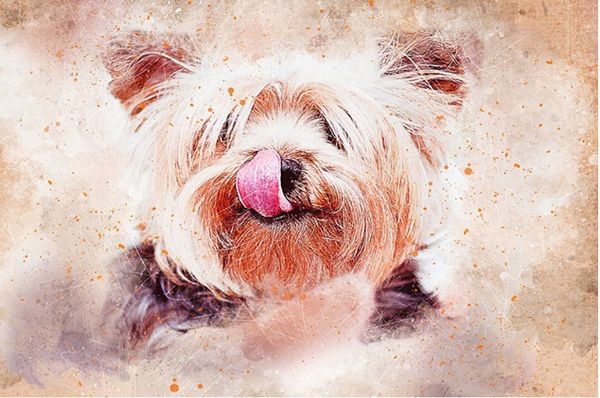 full square/round drill 5d diy diamond painting "dog" embroidery cross stitch mosaic home decor art experience toys gift a0078
full square/round drill 5d diy diamond painting "dog" embroidery cross stitch mosaic home decor art experience toys gift a0078
