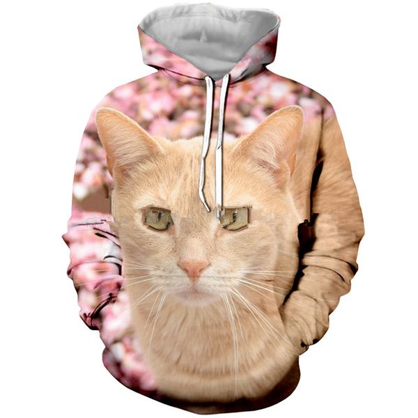 new fashion cute cat casual harajuku hoodies 3d print hoodies pullovers graphic sweatshirts a193, Black
new fashion cute cat casual harajuku hoodies 3d print hoodies pullovers graphic sweatshirts a193, Black
