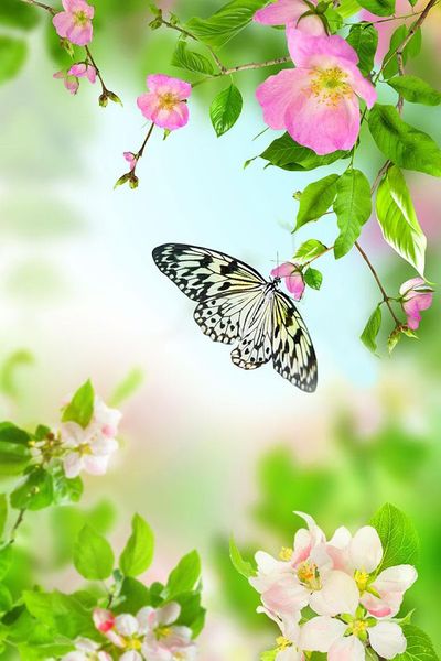 a2388 flowerandbutterfly 20*30 home decor 5d diy embroidery diamond painting crossing stitch 100% resin tool dril painting mosaic needlewo
a2388 flowerandbutterfly 20*30 home decor 5d diy embroidery diamond painting crossing stitch 100% resin tool dril painting mosaic needlewo