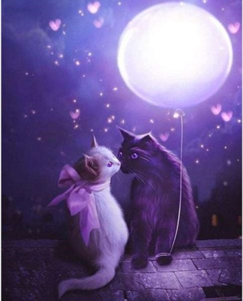 full square/round drill 5d diy diamond painting "couple cat" embroidery cross stitch mosaic home decor experience toys gift a0007
full square/round drill 5d diy diamond painting "couple cat" embroidery cross stitch mosaic home decor experience toys gift a0007