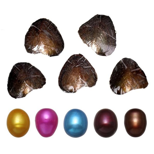 wholesale 2018 new lot/5pcs 6-8mm natural oval akoya pearl oyster with water droplets loose pearls for diy jewelry making vacuum packaging, White
wholesale 2018 new lot/5pcs 6-8mm natural oval akoya pearl oyster with water droplets loose pearls for diy jewelry making vacuum packaging, White