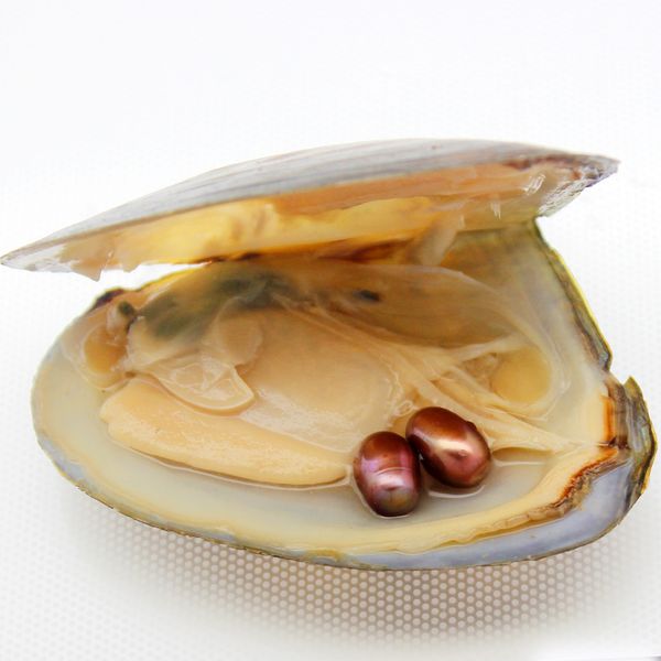bulk wholesale vacuum packaging oysters 6-8 mm elliptical pearls rich colors bright om match spot (
bulk wholesale vacuum packaging oysters 6-8 mm elliptical pearls rich colors bright om match spot (