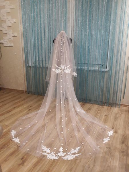 custom made lace appliques two layers wedding veils with 3d flowers bridal hair accessories 3 meters long headpieces, Black
custom made lace appliques two layers wedding veils with 3d flowers bridal hair accessories 3 meters long headpieces, Black