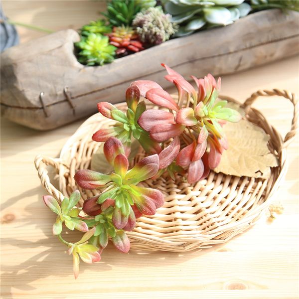 50pcs mini succulent plants 2 colors plastic artificial fall leaves home office table decoration fake flowers
50pcs mini succulent plants 2 colors plastic artificial fall leaves home office table decoration fake flowers