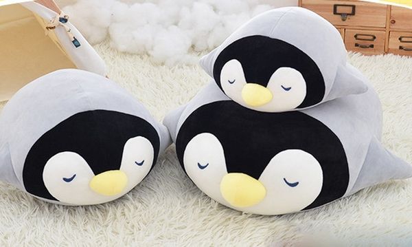 miao little penguin black turtle marine turtle pillow plush toy children's girl doll
miao little penguin black turtle marine turtle pillow plush toy children's girl doll