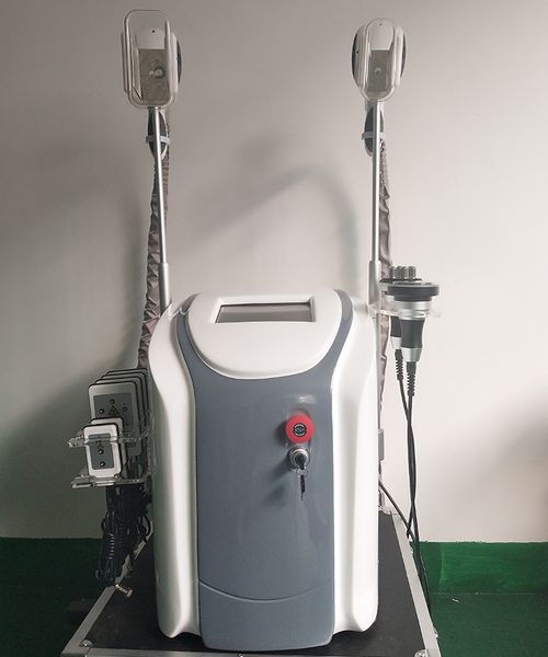 cryolipolysis fat ing slimming machine body sculpting 2022 cryotherapy ultrasound cavitation rf lipolaser ce/dhl
cryolipolysis fat ing slimming machine body sculpting 2022 cryotherapy ultrasound cavitation rf lipolaser ce/dhl