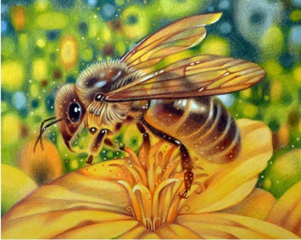Full Square/Round Drill 5D DIY Diamond Painting "bee" Embroidery Cross Stitch Mosaic Home Decor Experience toys Gift
Full Square/Round Drill 5D DIY Diamond Painting "bee" Embroidery Cross Stitch Mosaic Home Decor Experience toys Gift