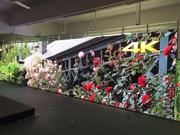 256*128mm 64*32 pixels 1/16 scan indoor 3in1 smd2121 rgb full color p4 led display screen module led panel
256*128mm 64*32 pixels 1/16 scan indoor 3in1 smd2121 rgb full color p4 led display screen module led panel