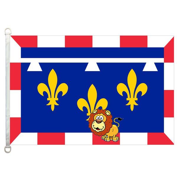 centre (france) country flags flag,90*150cm ,100% polyester, banner,digital printing
centre (france) country flags flag,90*150cm ,100% polyester, banner,digital printing