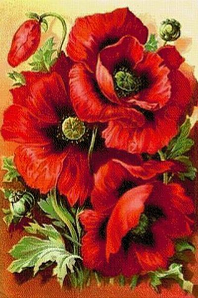 a1987 flower 40*60 5d diy diamond embroidery painting home decor diamond crossing stitch 100% resin tool dril painting mosaic needlework
a1987 flower 40*60 5d diy diamond embroidery painting home decor diamond crossing stitch 100% resin tool dril painting mosaic needlework