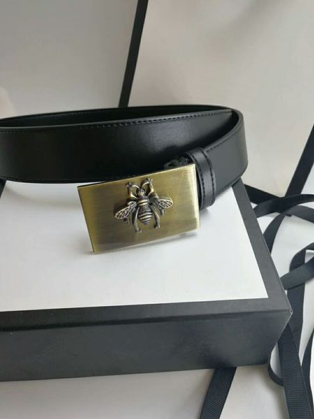 Cintos guangqifushi
Cintos guangqifushi