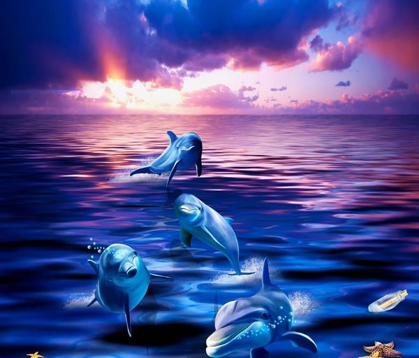 wallpaper for kids room aesthetic dolphins rushes out of the water ocean world 3d bathroom living room floor
wallpaper for kids room aesthetic dolphins rushes out of the water ocean world 3d bathroom living room floor