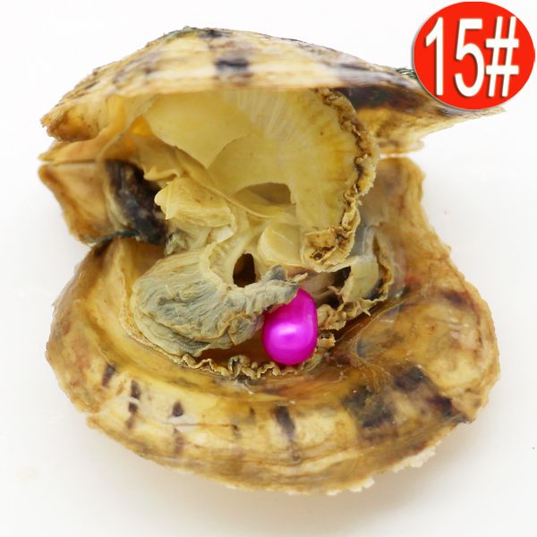 vacuum individually packed 6-8mm pink oval ayoya oyster pearl 1pcs freshwater pearl in oyster
vacuum individually packed 6-8mm pink oval ayoya oyster pearl 1pcs freshwater pearl in oyster