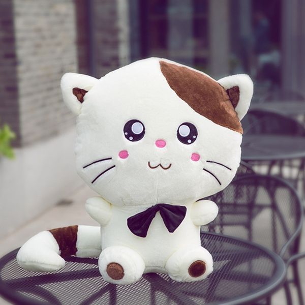 cat stuffed toy girl big face cat doll hold pillow doll lovely doll girl birthday present
cat stuffed toy girl big face cat doll hold pillow doll lovely doll girl birthday present
