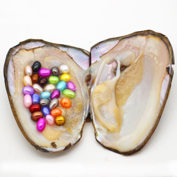 wholesale latest vacuum packaging oval blended oyster pearl, 30 color pearls in oyster, vacuum packed (
wholesale latest vacuum packaging oval blended oyster pearl, 30 color pearls in oyster, vacuum packed (