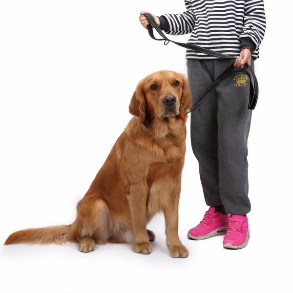 dog leash 2 handles nylon padded double handle leash for greater control safety training protect dog
dog leash 2 handles nylon padded double handle leash for greater control safety training protect dog