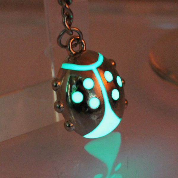 glowing keychain ladybird key chain coccinellidae key ring glow in the dark luminous keychain car bag pendant, Silver
glowing keychain ladybird key chain coccinellidae key ring glow in the dark luminous keychain car bag pendant, Silver