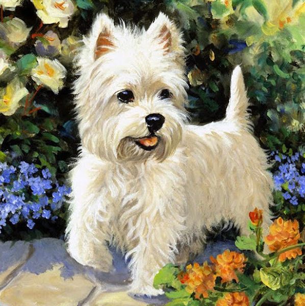 diy diamond painting cross stitch kit rhinestone full square diamond embroidery animal dog home mosaic decoration zxh0918
diy diamond painting cross stitch kit rhinestone full square diamond embroidery animal dog home mosaic decoration zxh0918