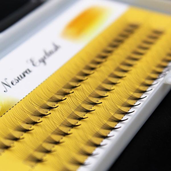 Women Soft 0.07 C 10D Wave Individual Eyelashes Silk False Eye Lashes Extension Mink Black Tools
Women Soft 0.07 C 10D Wave Individual Eyelashes Silk False Eye Lashes Extension Mink Black Tools