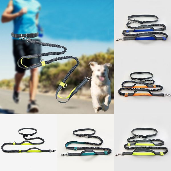 5color hands waist dog leash with dual bungees dual-handle bungee leash with adjustable waist belt for running jogging walking wx9-684
5color hands waist dog leash with dual bungees dual-handle bungee leash with adjustable waist belt for running jogging walking wx9-684