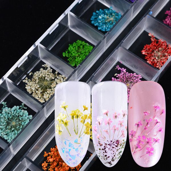 1 pack nail art accessories mixed color nail decoration flowers set dry flower 3d charming decals tips gold pink manicure sa170, Silver;gold
1 pack nail art accessories mixed color nail decoration flowers set dry flower 3d charming decals tips gold pink manicure sa170, Silver;gold