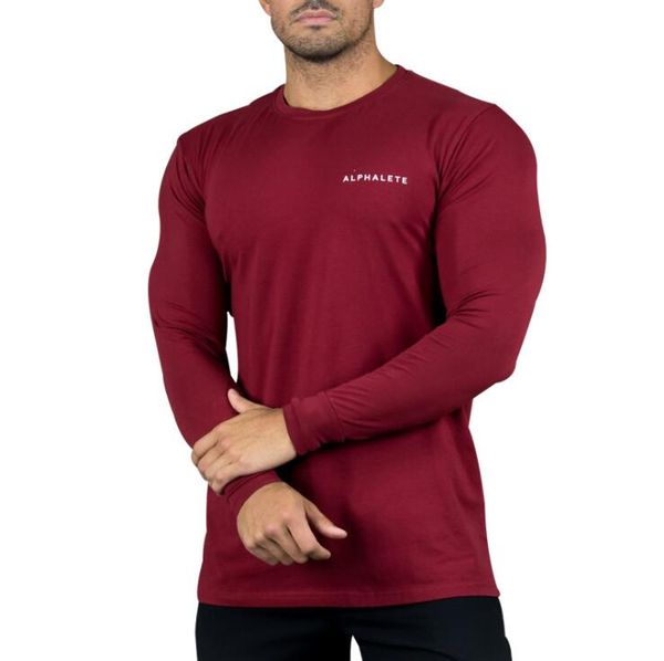 alphalete athletic mens brand designer с длинным рукавом футболка мужской повседневные письма печатных хлопок пуловер азиатский размер, White;black
alphalete athletic mens brand designer с длинным рукавом футболка мужской повседневные письма печатных хлопок пуловер азиатский размер, White;black