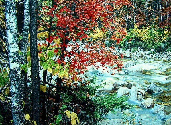 different sizes fabric picture frame,wall gobelin tapestries, beautiful red maple leafs beside river picture
different sizes fabric picture frame,wall gobelin tapestries, beautiful red maple leafs beside river picture