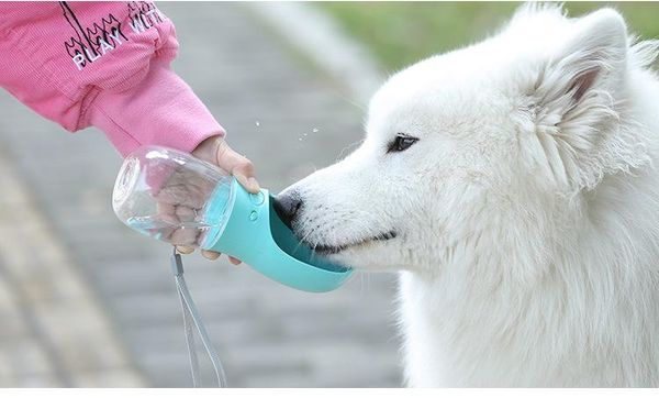 2018 compact size 350ml pets dogs feeding tools water bottle leakproof outdoor travel dog pets water dispenser ing
2018 compact size 350ml pets dogs feeding tools water bottle leakproof outdoor travel dog pets water dispenser ing