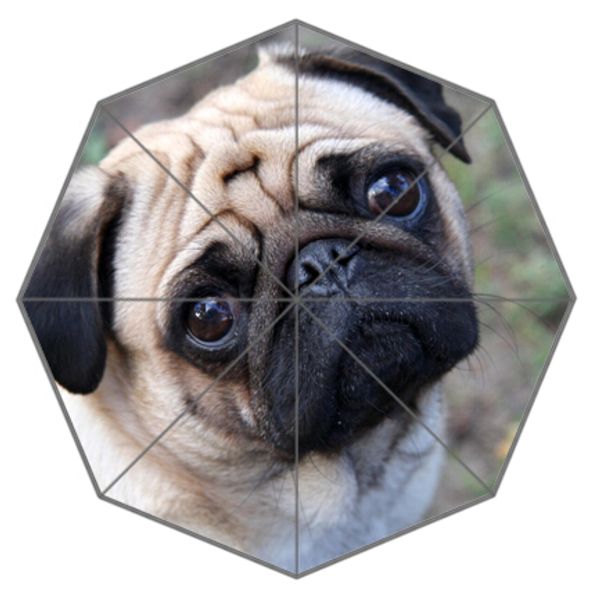 friend birthday gift good quality umbrella cute and funny pug dog patten12 for kids portable foldable umbrellas outdoor umbrella
friend birthday gift good quality umbrella cute and funny pug dog patten12 for kids portable foldable umbrellas outdoor umbrella