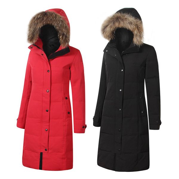 Women Designer Winter Coats 7 Colors Long Length Slim Parkas Branded Fur Hoodie Ribbed Long Sleeve Down Outerwears
Women Designer Winter Coats 7 Colors Long Length Slim Parkas Branded Fur Hoodie Ribbed Long Sleeve Down Outerwears