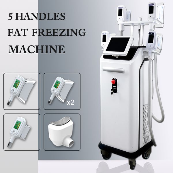 5 handles double chin fat ing machine criolipolisis cellulite machine 5 handes weight loss equipment 2 years warranty
5 handles double chin fat ing machine criolipolisis cellulite machine 5 handes weight loss equipment 2 years warranty